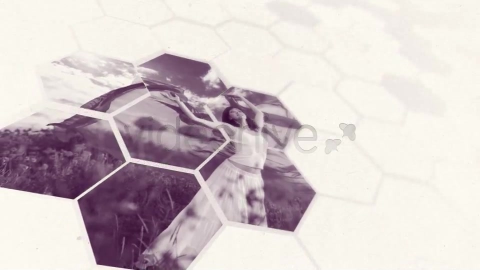 Clean White Hexagon Presentation - Download Videohive 5159679