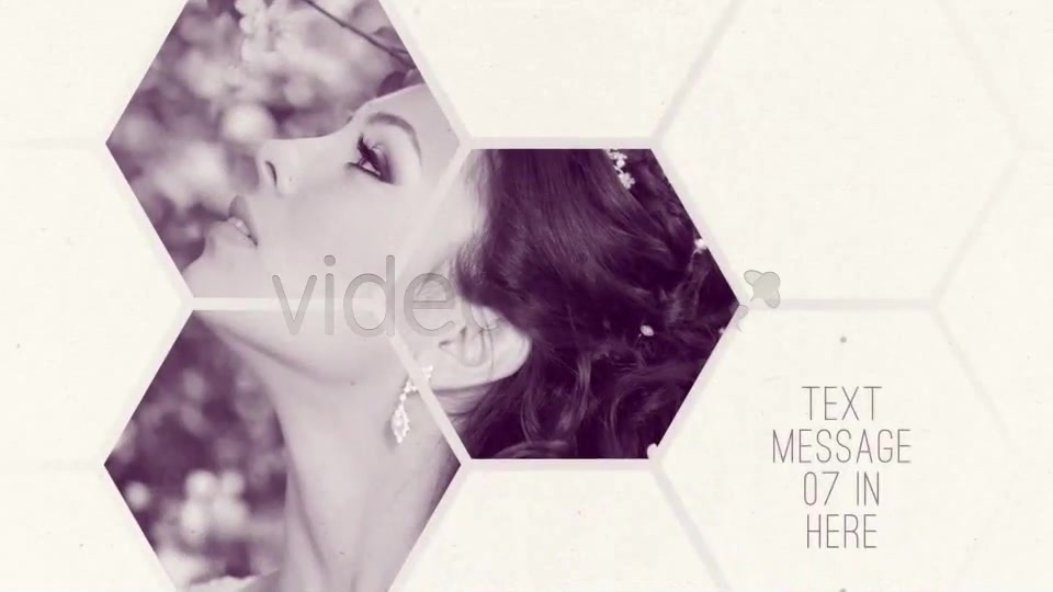 Clean White Hexagon Presentation - Download Videohive 5159679