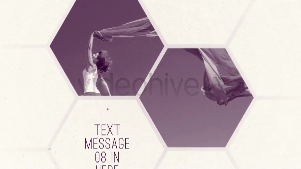 Clean White Hexagon Presentation - Download Videohive 5159679