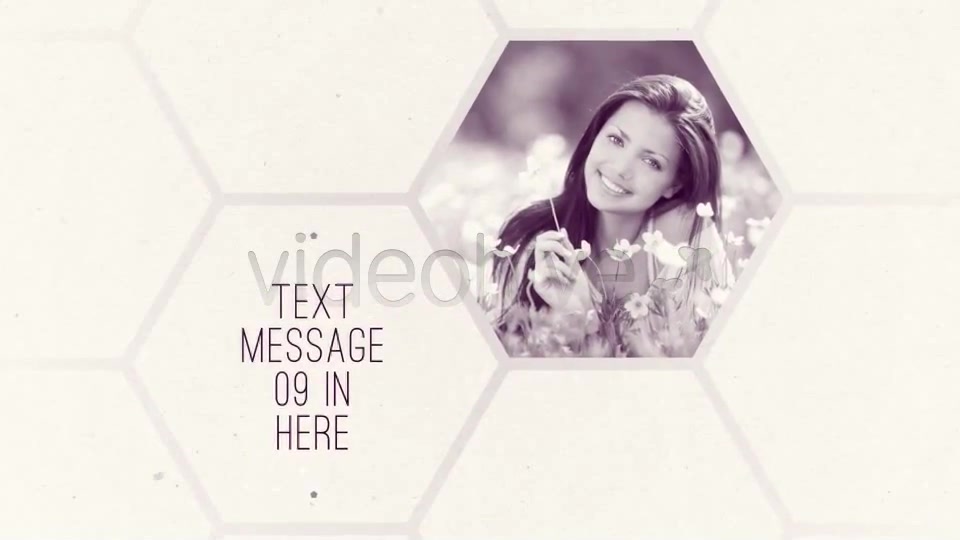 Clean White Hexagon Presentation - Download Videohive 5159679