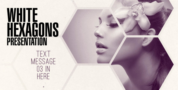 Clean White Hexagon Presentation - Download Videohive 5159679