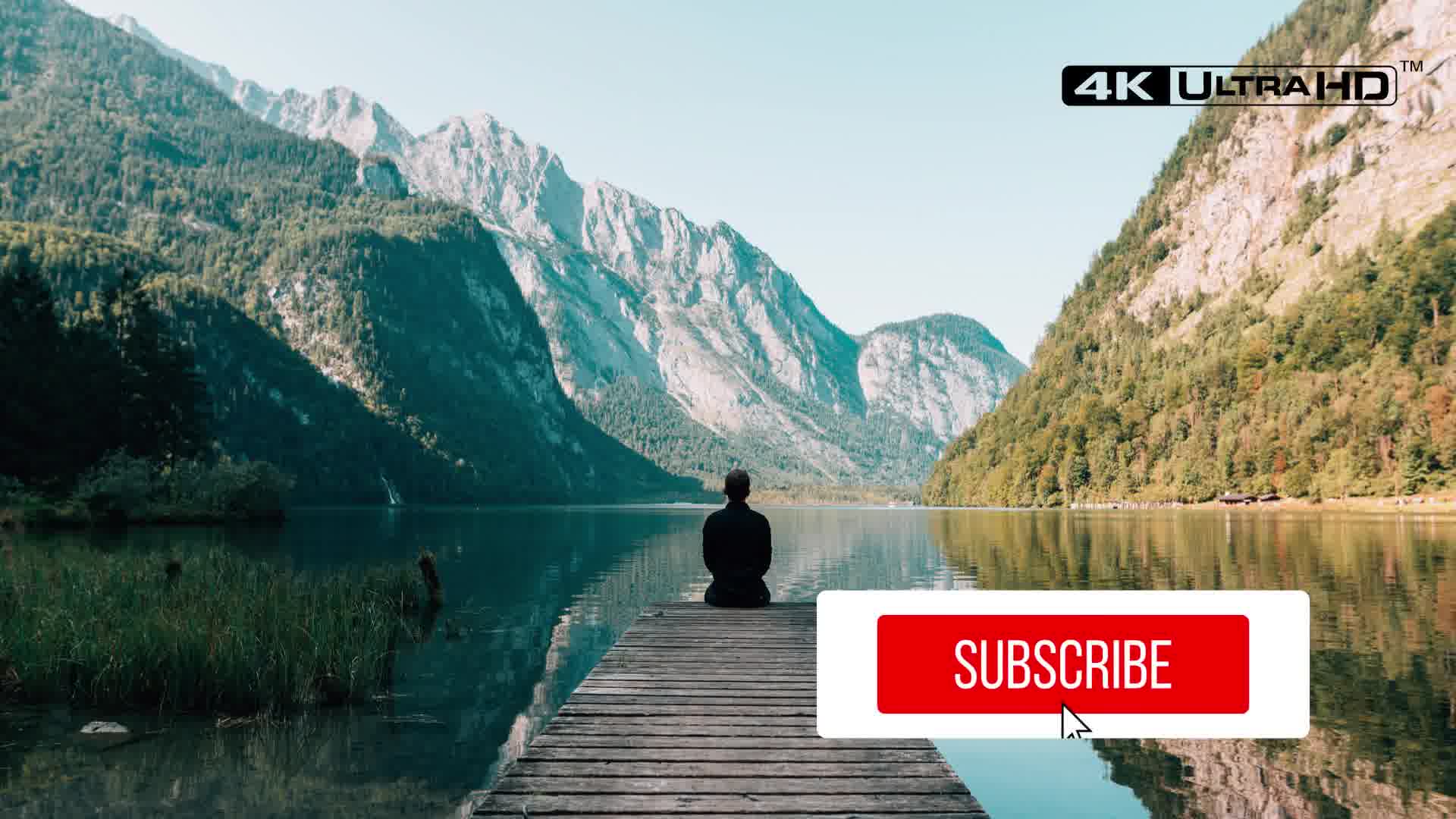 Clean Youtube Subscribe Videohive 26355376 Premiere Pro Image 11