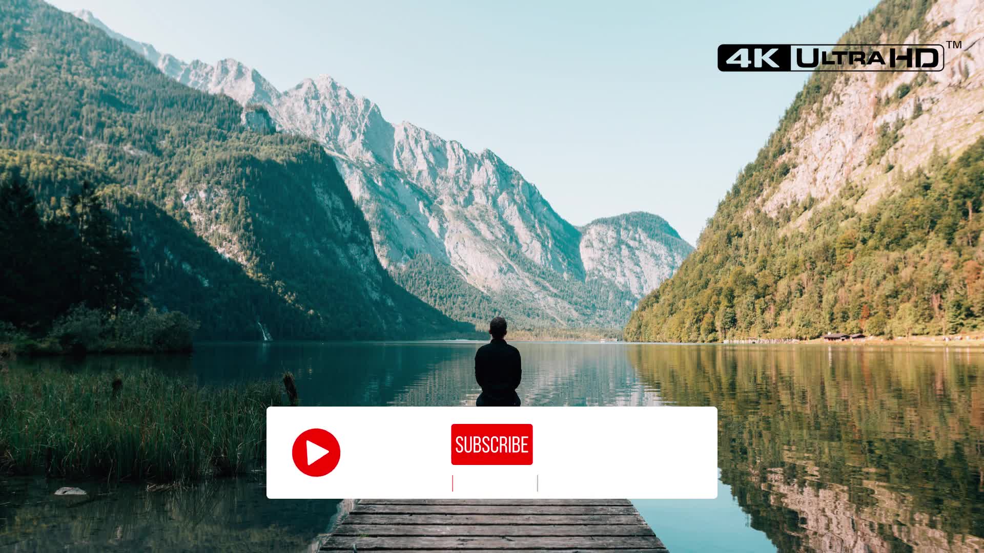Clean Youtube Subscribe Videohive 26355376 Premiere Pro Image 2
