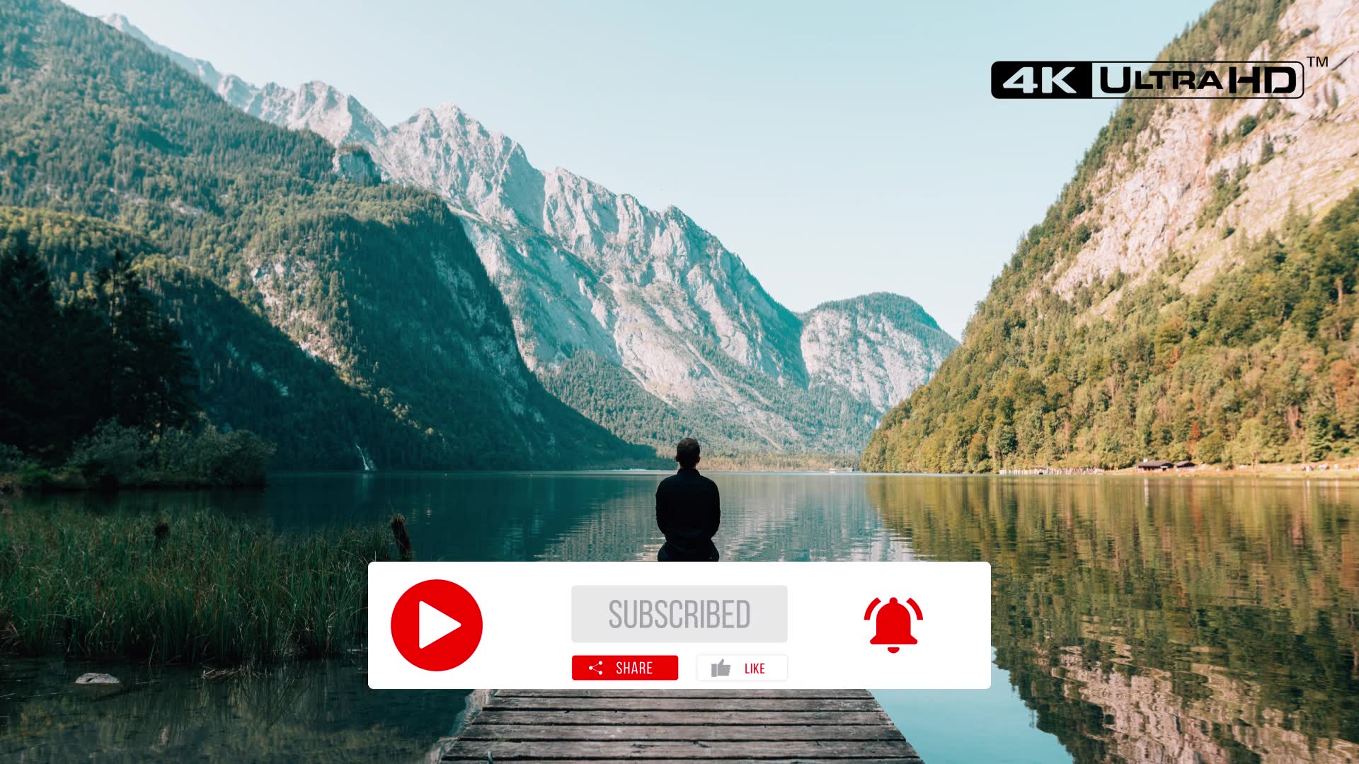 Clean Youtube Subscribe Videohive 26355376 Premiere Pro Image 3