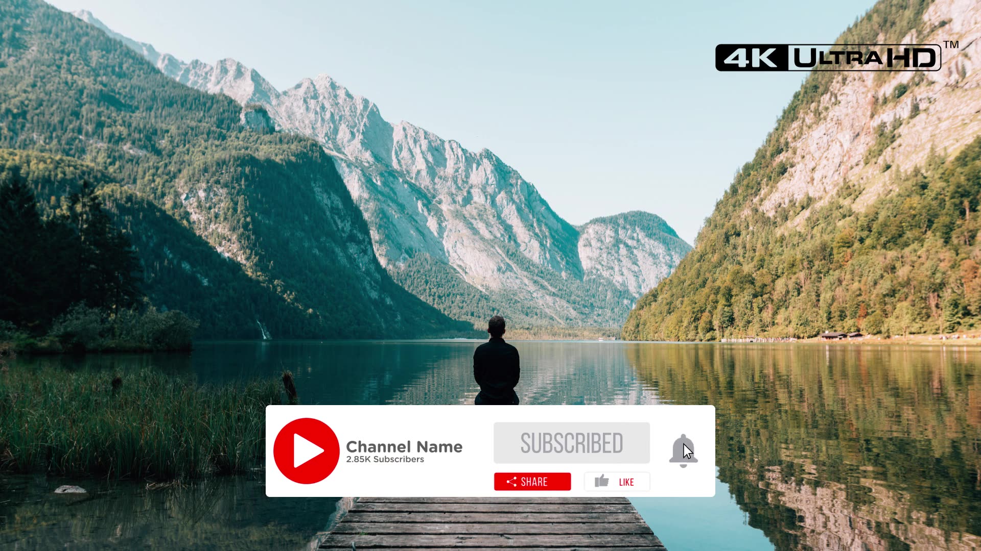 Clean Youtube Subscribe Videohive 26355376 Premiere Pro Image 4