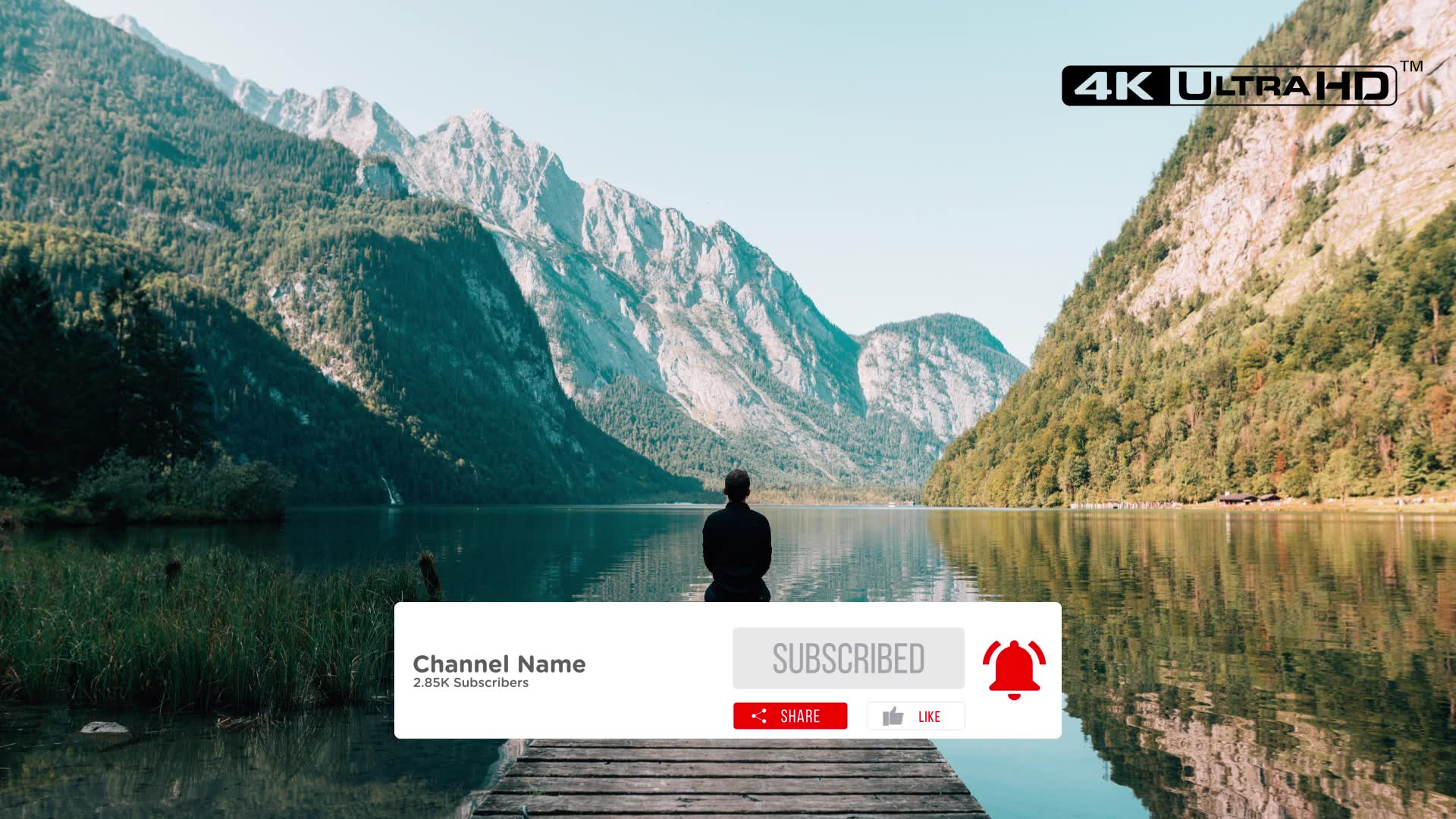 Clean Youtube Subscribe Videohive 26355376 Premiere Pro Image 6