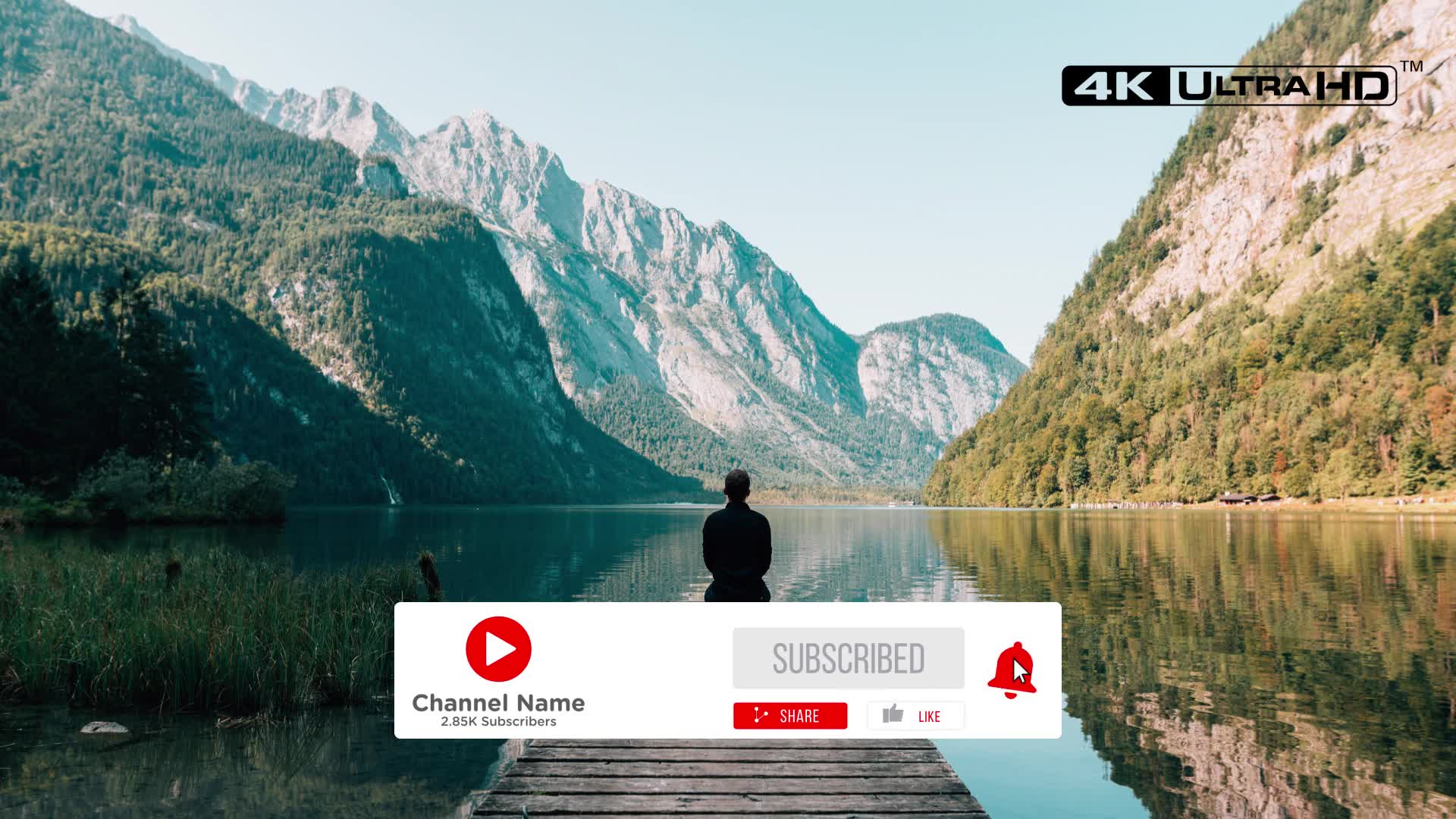 Clean Youtube Subscribe Videohive 26355376 Premiere Pro Image 7