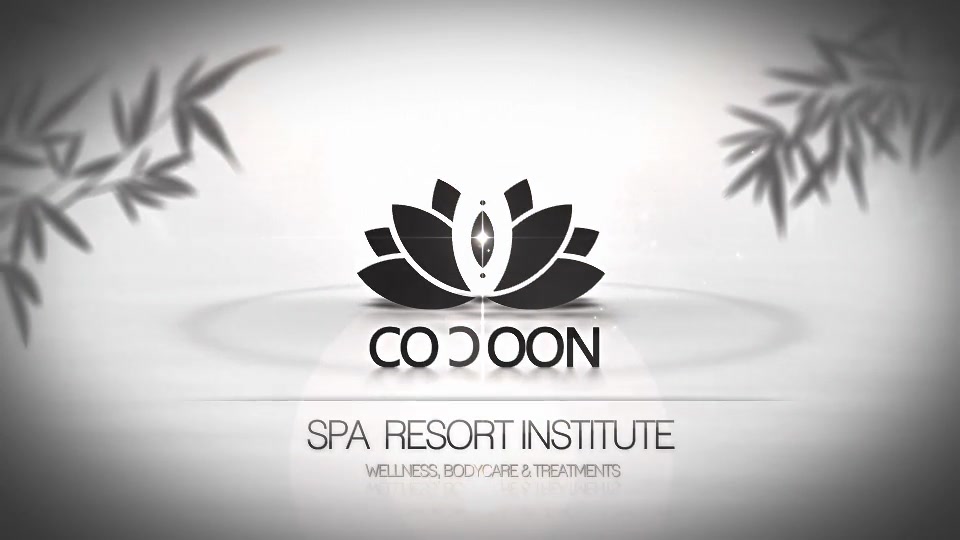 Cocoon SPA & Resort Institute - Download Videohive 5581606