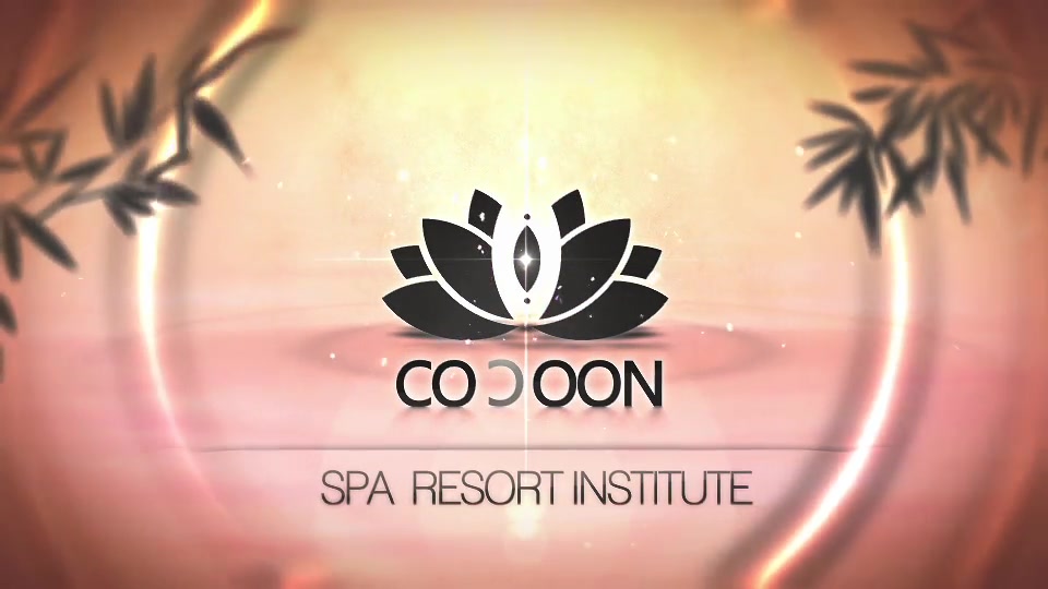 Cocoon SPA & Resort Institute - Download Videohive 5581606