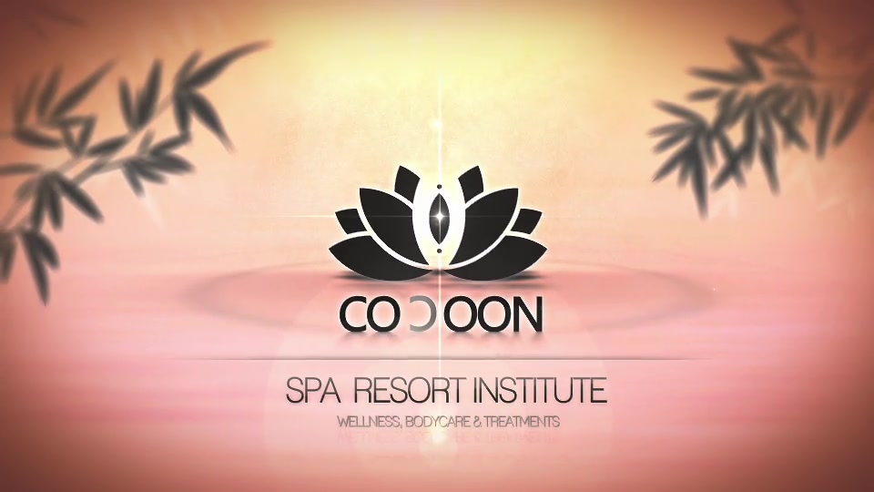 Cocoon SPA & Resort Institute - Download Videohive 5581606