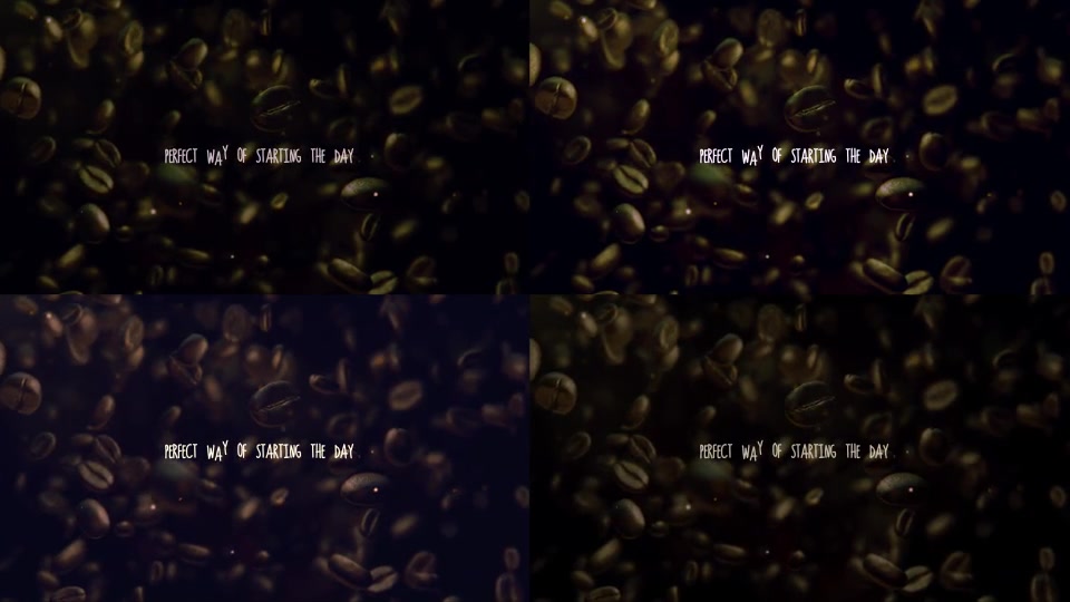 Coffee Beans Logo Reveal Videohive 17097018 After Effects Image 9