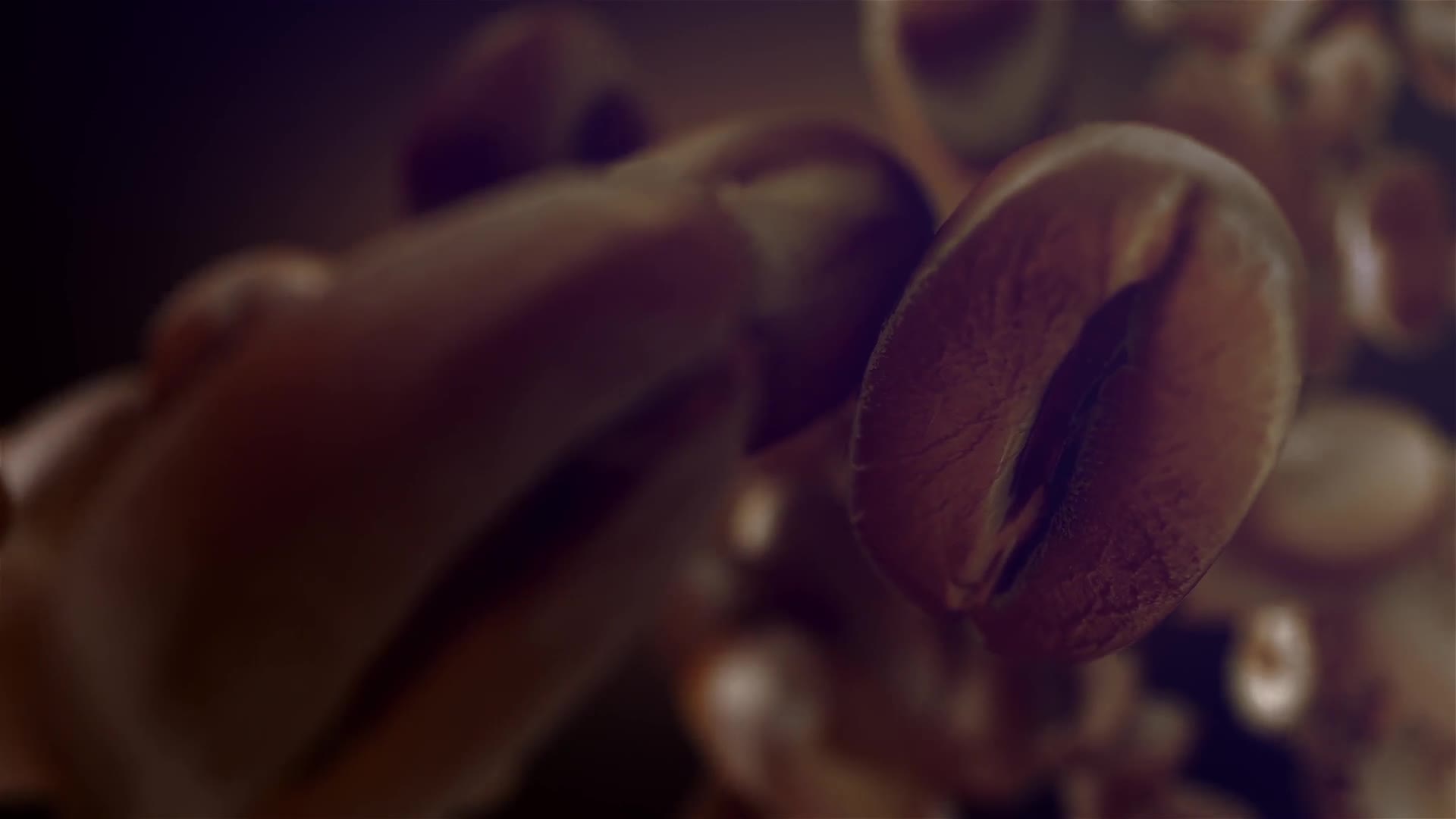 Coffee Videohive 22778458 After Effects Image 2