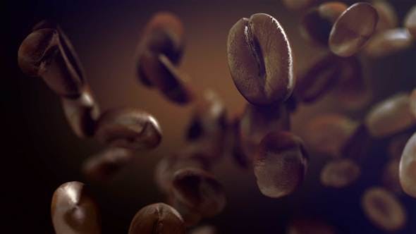 Coffee - Download 22778458 Videohive