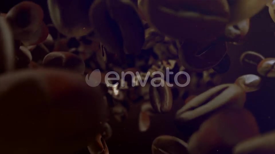 Coffee Opener Videohive 22050270 After Effects Image 5