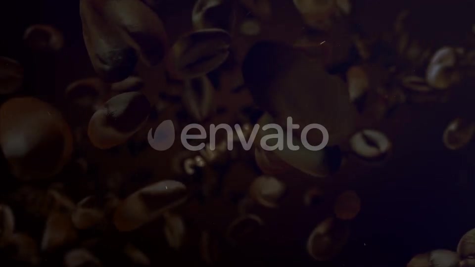 Coffee Opener Videohive 22050270 After Effects Image 7