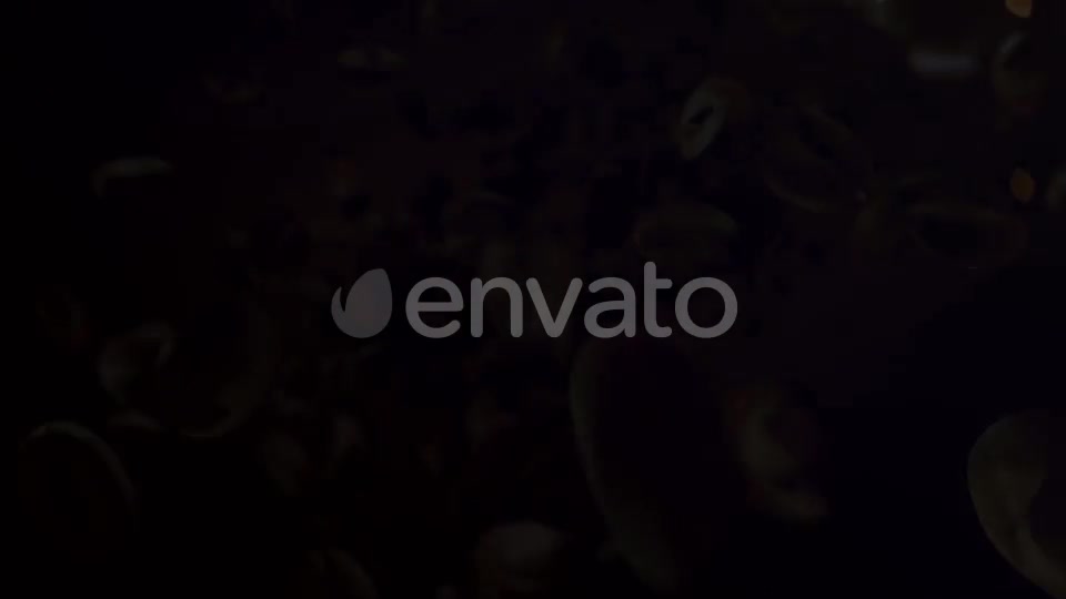 Coffee Opener Videohive 22050270 After Effects Image 9