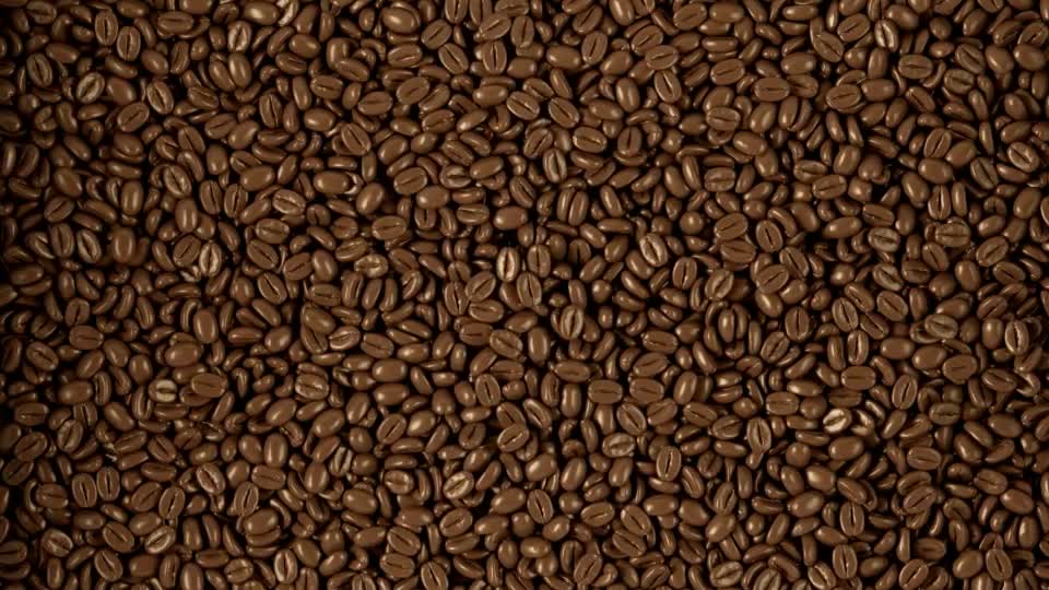 Cold Coffee Can Packaging Mockup Videohive 33590869 After Effects Image 1