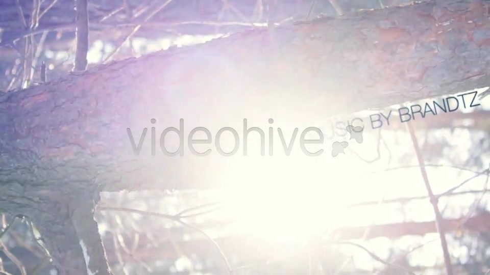 Cold Times Videohive 2372700 After Effects Image 8