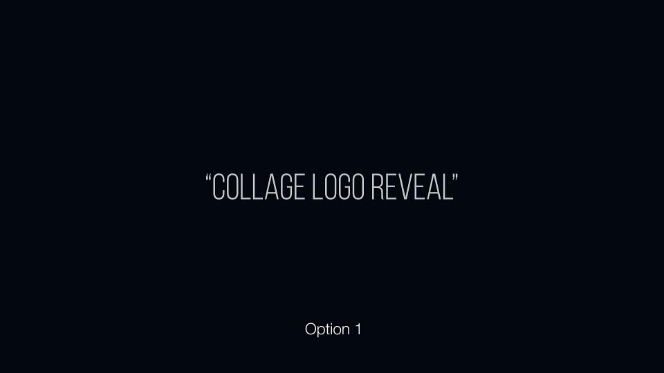 Collage Logo Reveal - Download Videohive 8690037