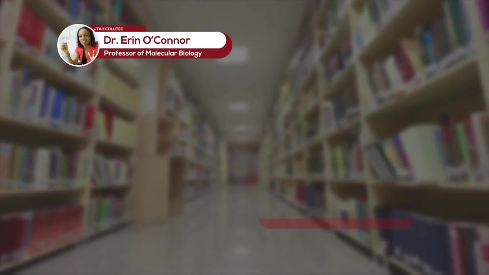 College Lower Thirds // School Lower Thirds - Download Videohive 14931430