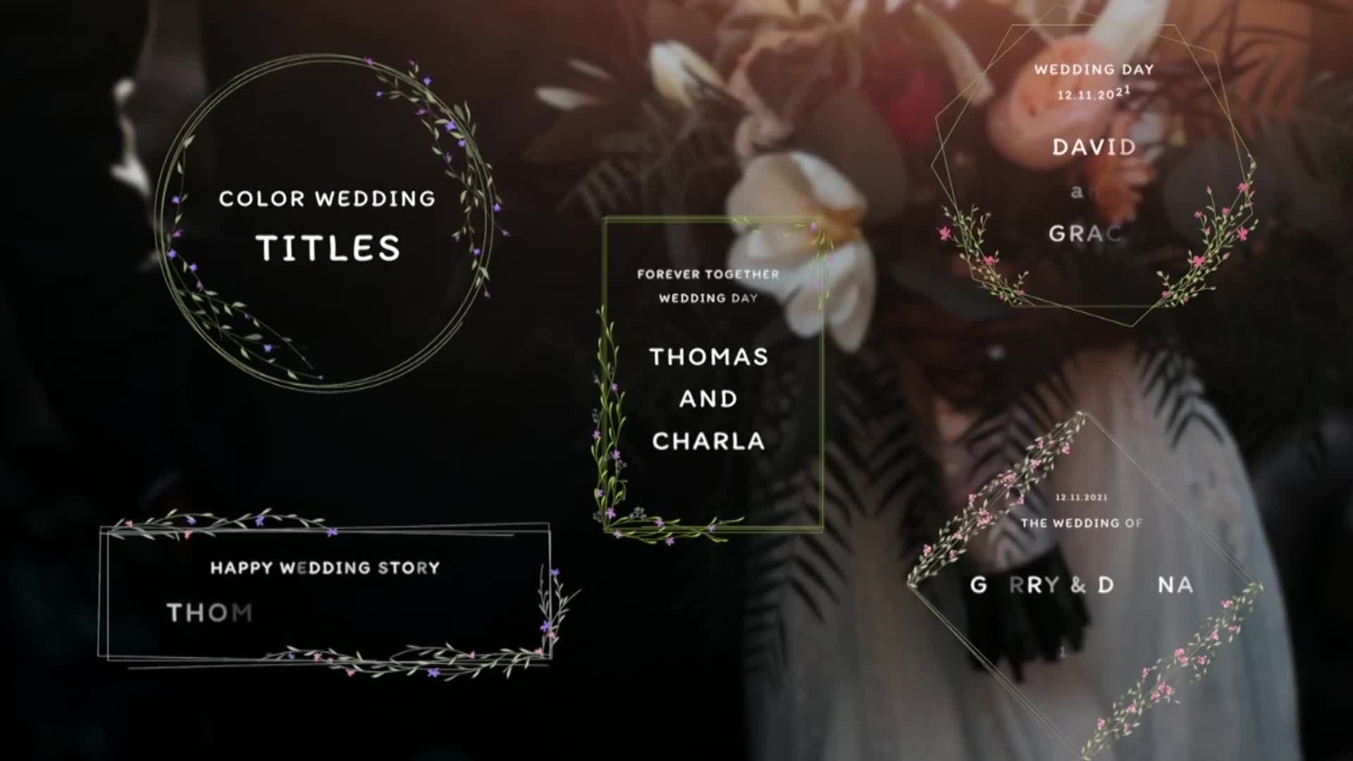 Color Wedding Titles Videohive 34704268 Apple Motion Image 1