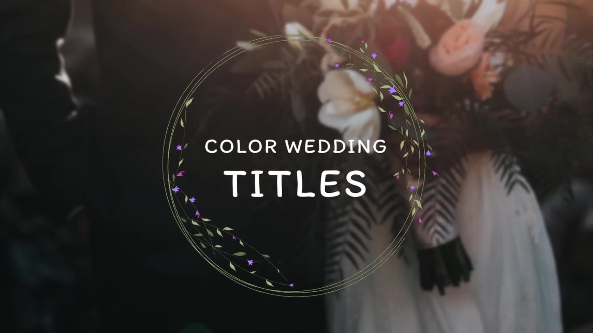 Color Wedding Titles Videohive 34854288 DaVinci Resolve Image 3