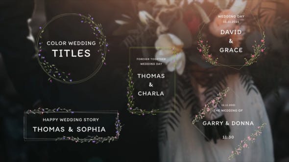 Color Wedding Titles - 34854288 Download Videohive
