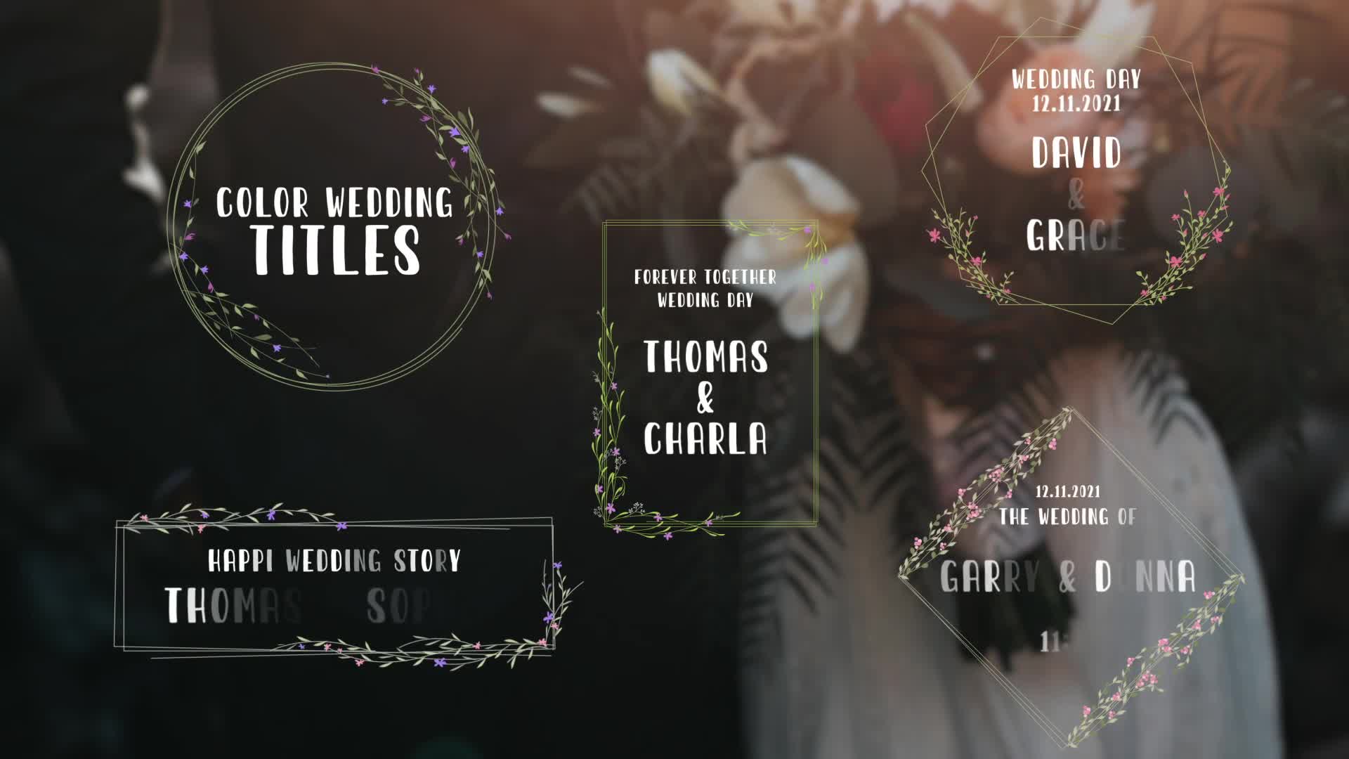 Color Wedding Titles Videohive 33791614 After Effects Image 1