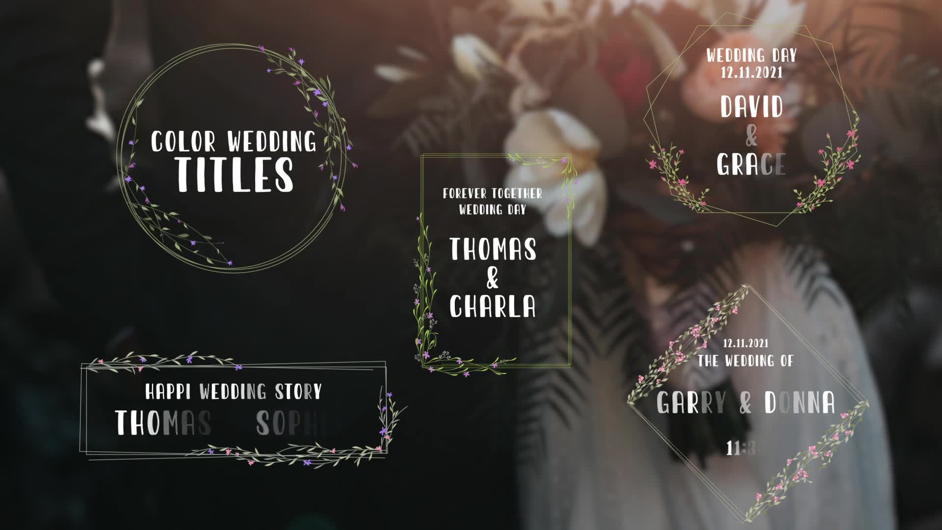 Color Wedding Titles Videohive 33791614 After Effects Image 2