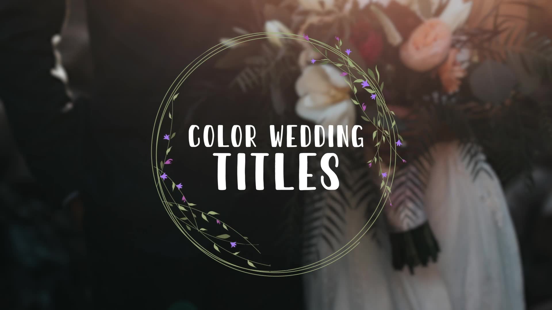 Color Wedding Titles Videohive 33791614 After Effects Image 3