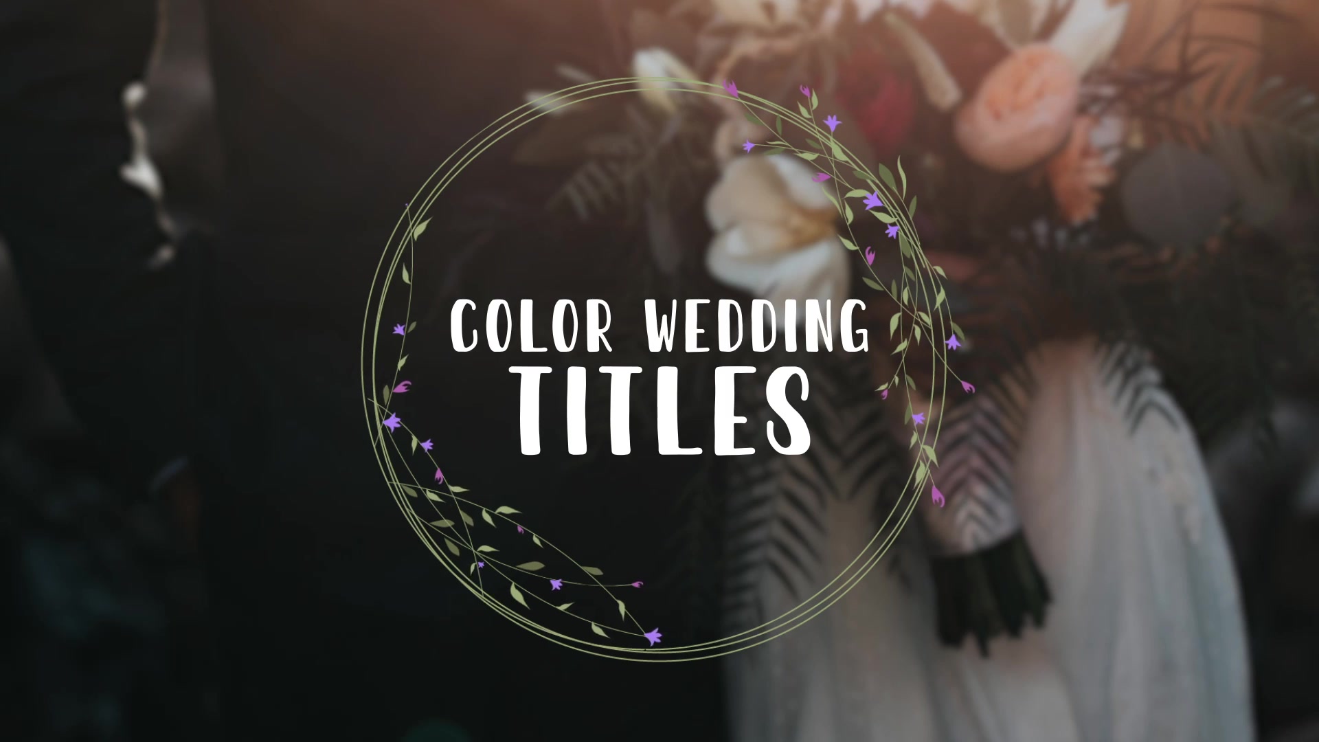 Color Wedding Titles Videohive 33791614 After Effects Image 4