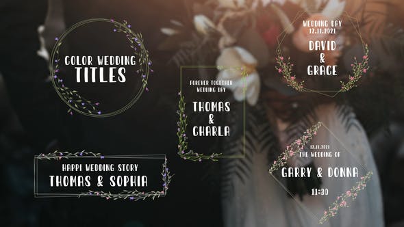 Color Wedding Titles - Download Videohive 33791614