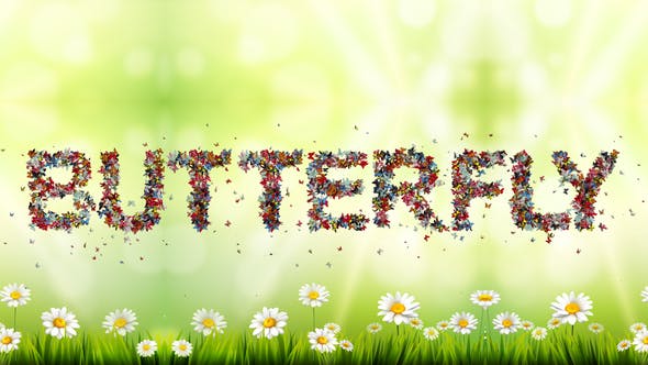 Colored Butterfly Animated Typeface - 37507229 Videohive Download