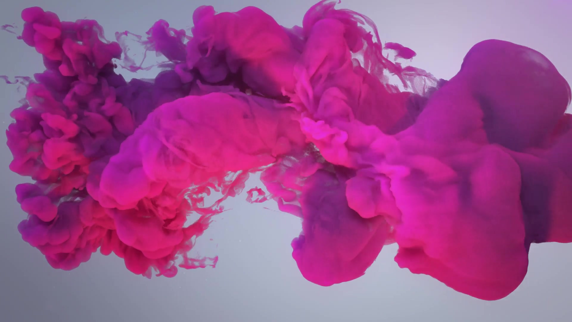 colorful smoke reveal after effects template free download