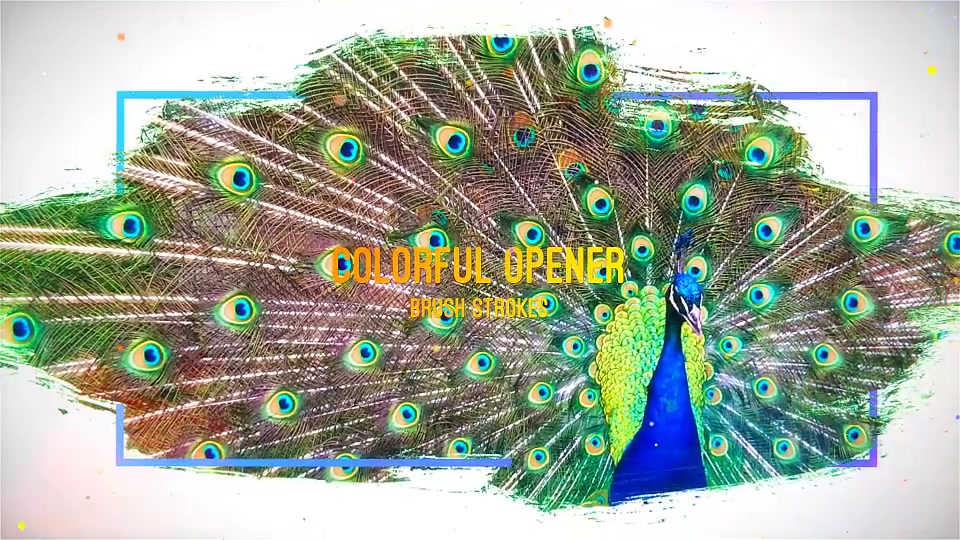 Colorful Brush Opener - Download Videohive 21831395