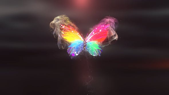 Colorful Butterfly Logo Reveal 4K - 28927421 Videohive Download