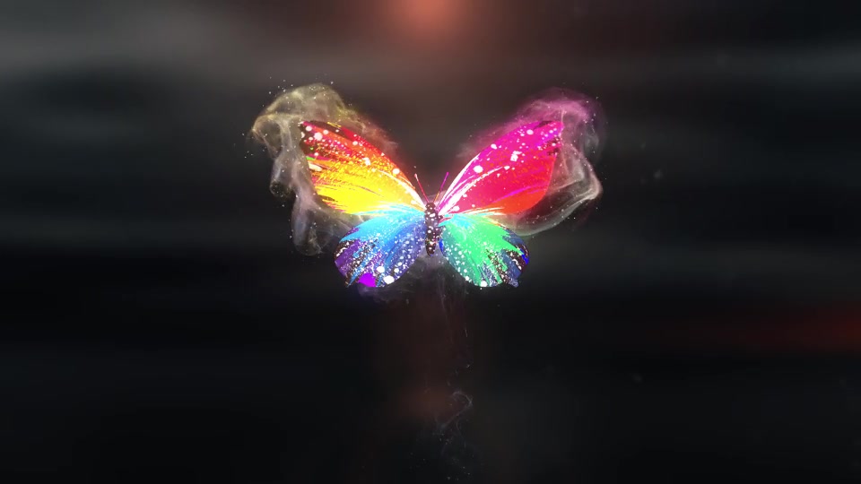 Colorful Butterfly Logo Reveal 4k Premiere Pro Videohive 29085233 Premiere Pro Image 2