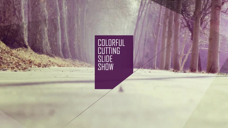 Colorful Cutting Slideshow - Download Videohive 8645791