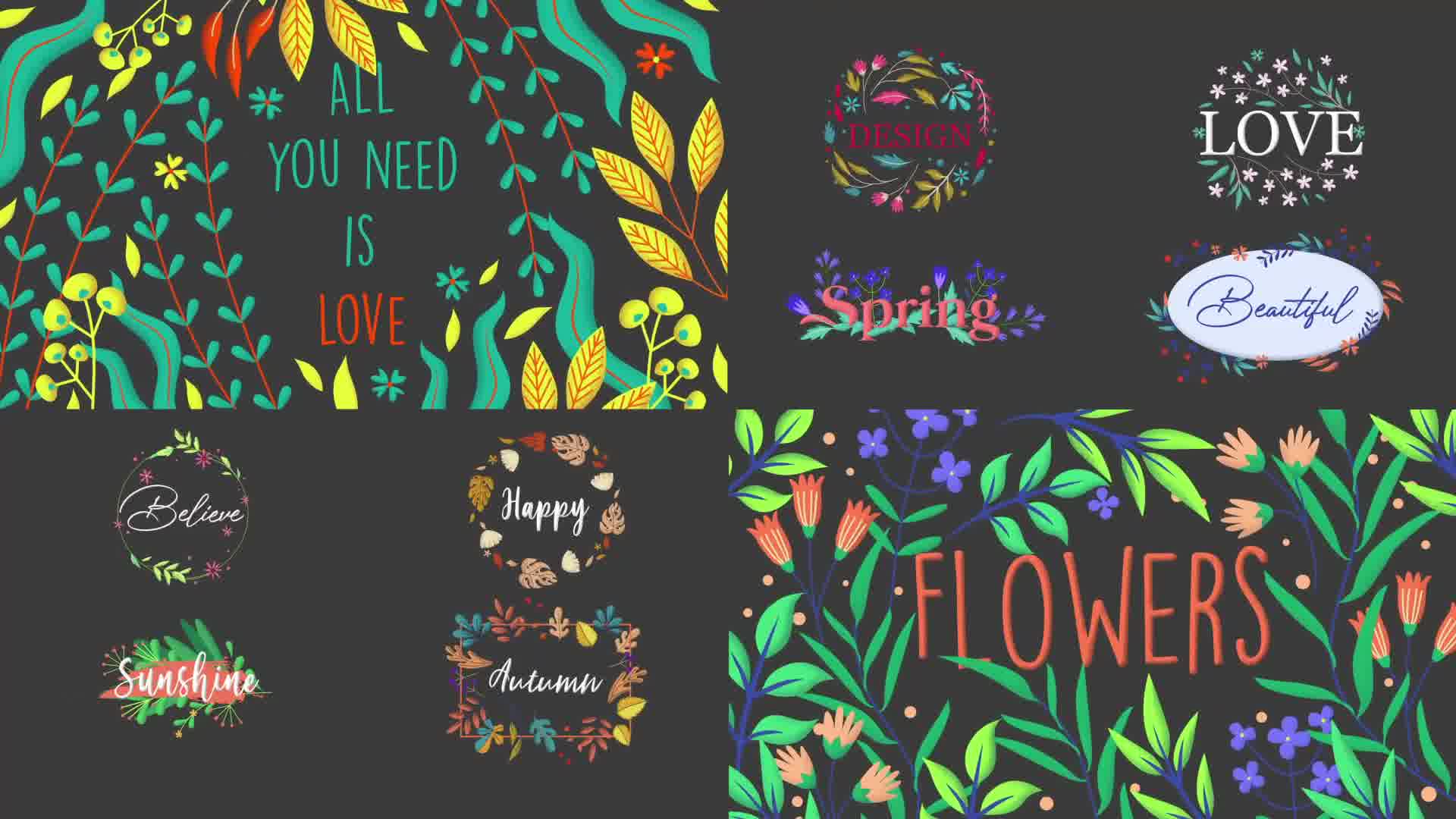 Colorful Floral Titles for After Effects Videohive 37246031 After Effects Image 12