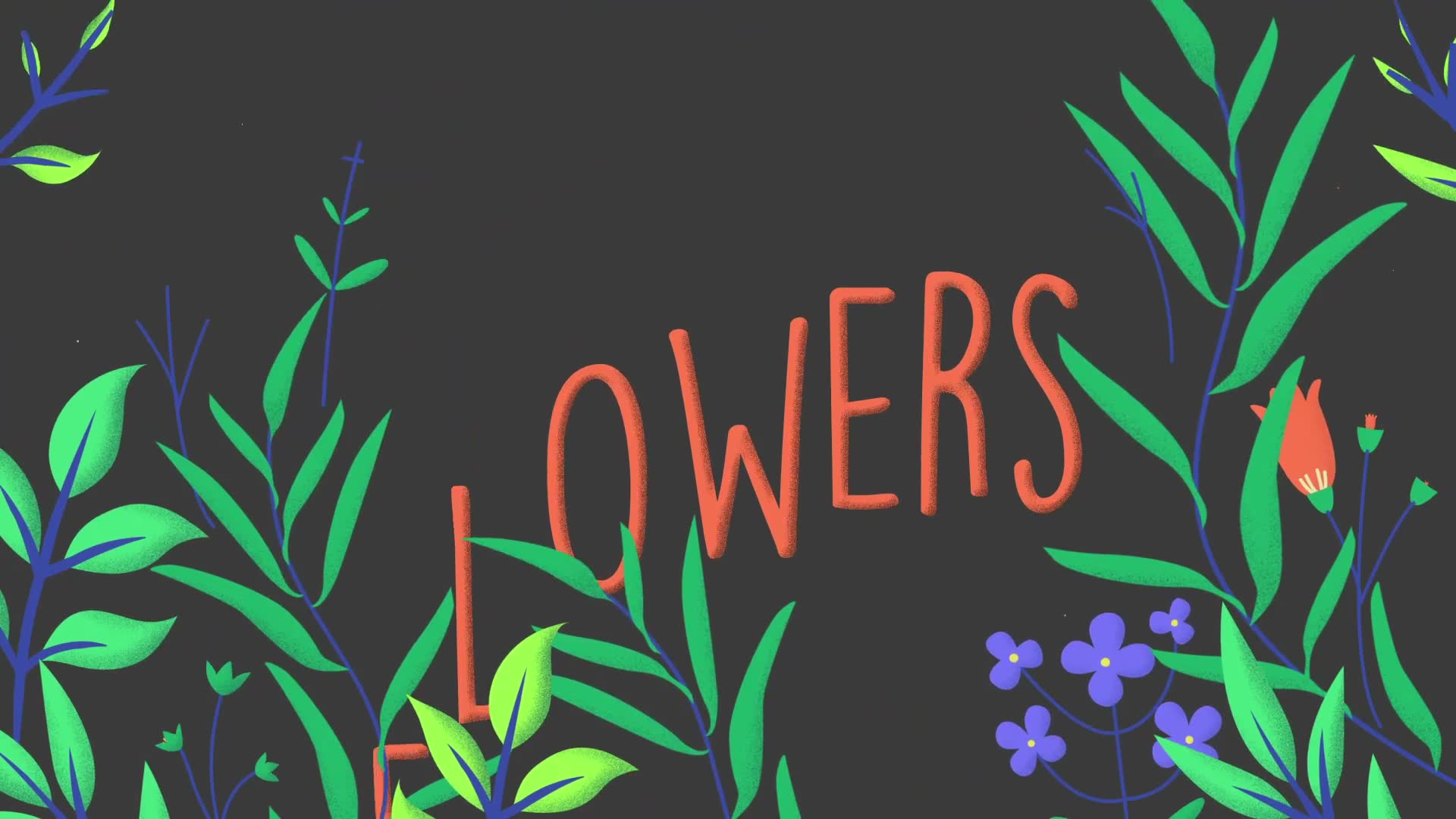 Colorful Floral Titles for After Effects Videohive 37246031 After Effects Image 3