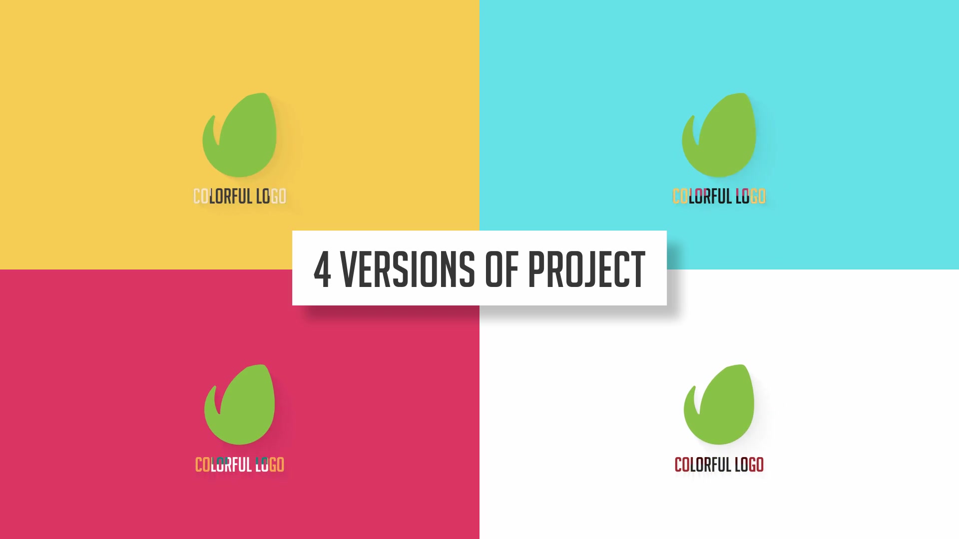 Colorful Logo - Download Videohive 11372933