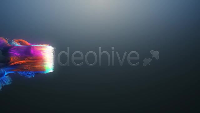 Colorful Particles Logo Reveal Videohive 408263 After Effects Image 2