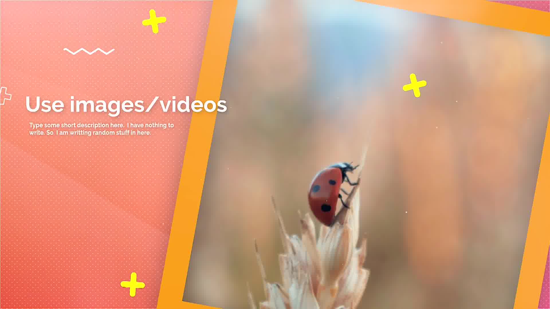 Colorful Promo Videohive 26271451 Apple Motion Image 11