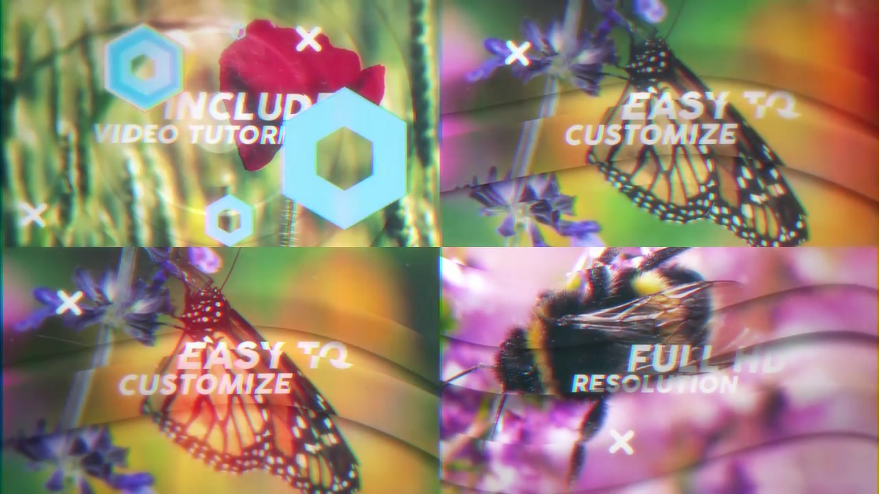 Colorful Thoughts Videohive 17970846 After Effects Image 5