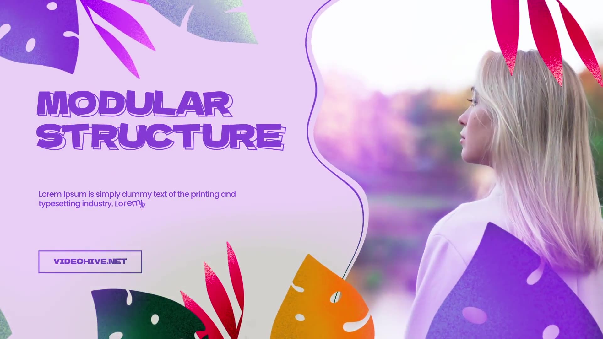 Colorfull Summer Collection Promo Videohive 38603590 After Effects Image 8