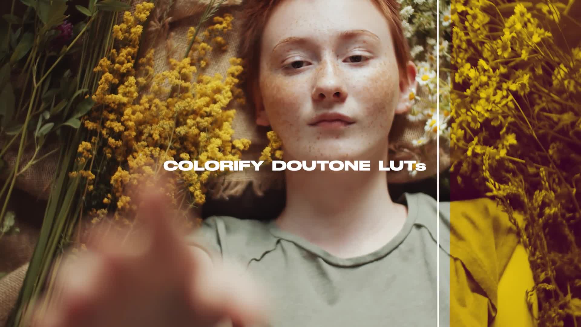 Colorify Duotone LUT Looks Videohive 35848362 Premiere Pro Image 1