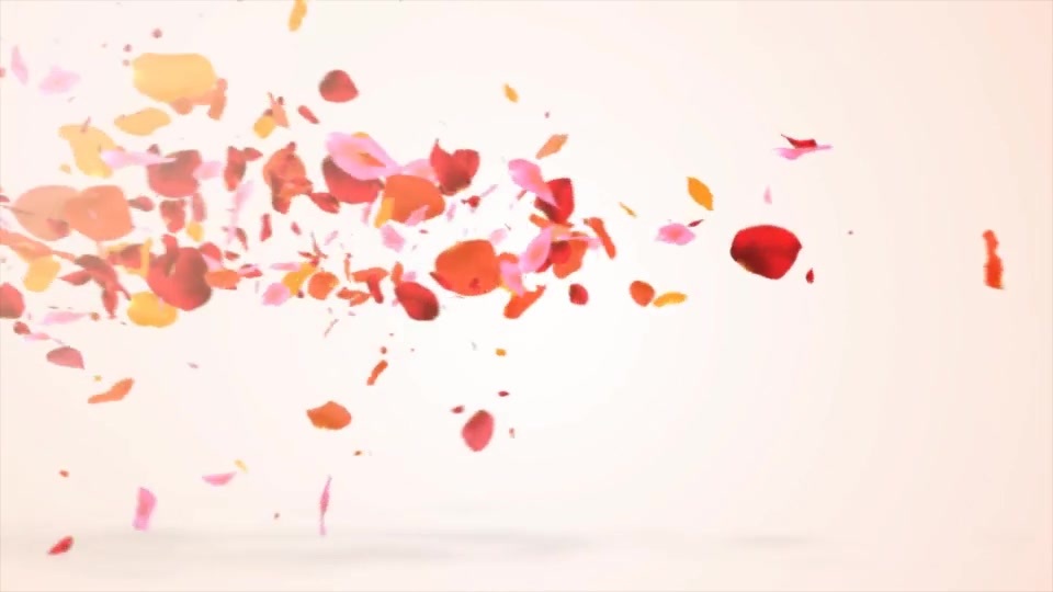 Colors Petals Logo Videohive 19779838 After Effects Image 2