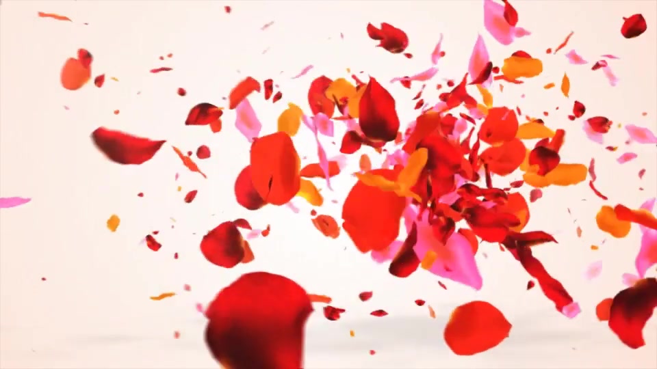 Colors Petals Logo Videohive 19779838 After Effects Image 3