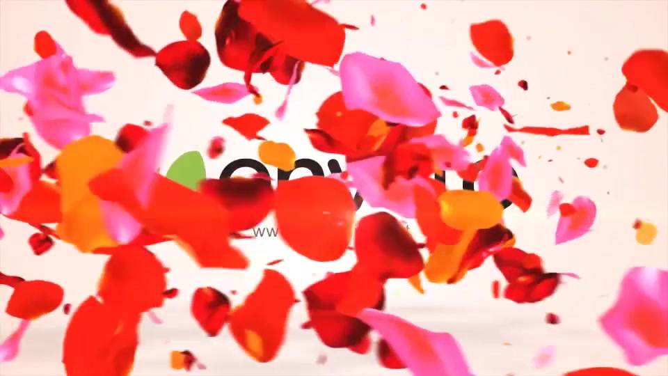 Colors Petals Logo Videohive 19779838 After Effects Image 4