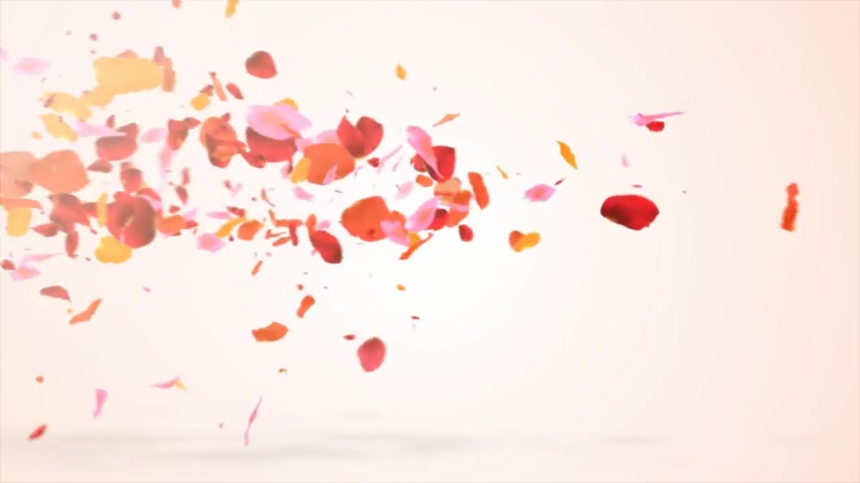 Colors Petals Logo Videohive 19779838 After Effects Image 8